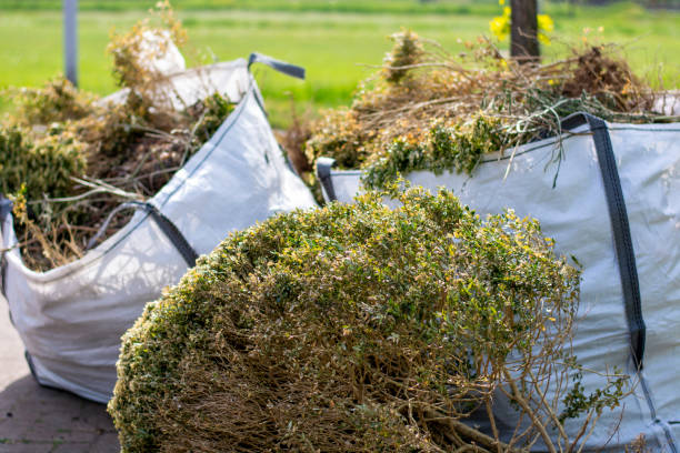 Best Basement Cleanout Services  in West Siloam Springs, OK
